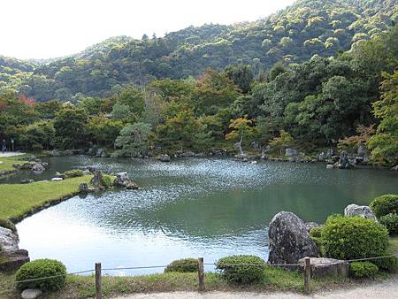 IMG_0915 IMG_0915
