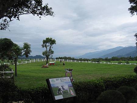 IMG_1777 IMG_1777
