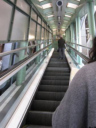 IMG_3334 IMG_3334