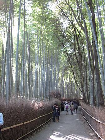 IMG_0943 IMG_0943