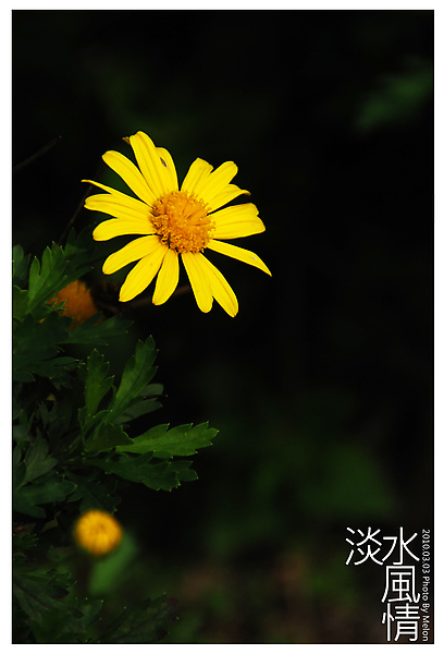 DSC_0010.JPG DSC_0010.JPG