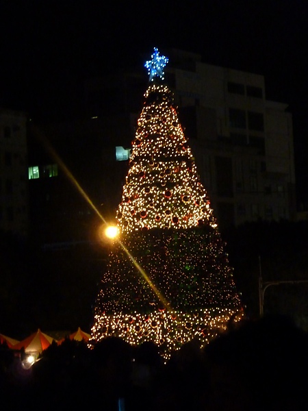 超大聖誕樹