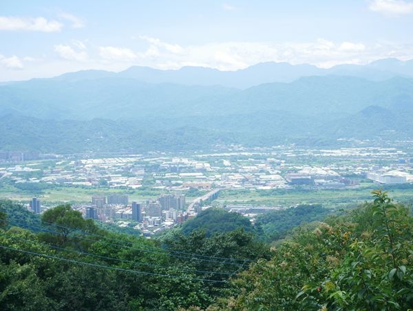 TREE TOP KAFFA 樹頂上 / 樹林景觀咖啡廳