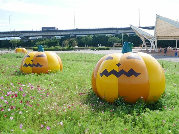 大佳河濱公園向日葵