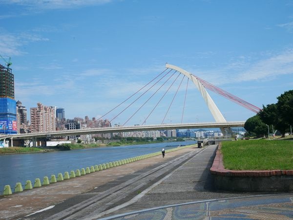 大佳河濱公園向日葵