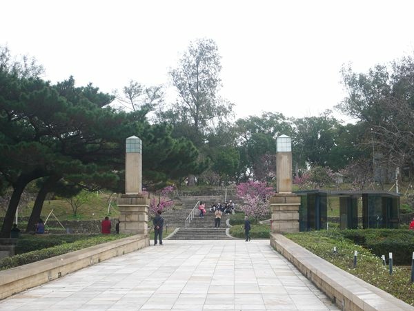 2025新竹公園櫻花季