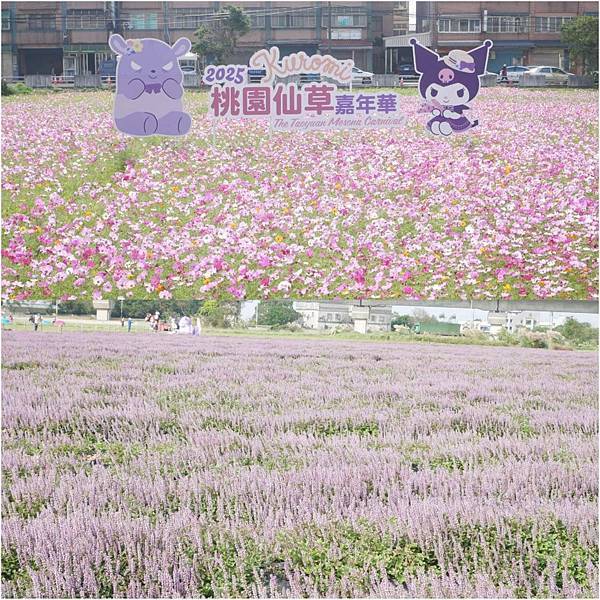 2025桃園仙草嘉年華