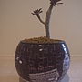 R0017837.JPG R0017837.JPG