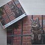 Cat in Paris.JPG Cat in Paris.JPG