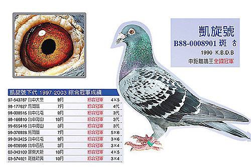 請輸入圖片標題