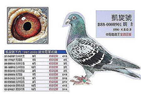 請輸入圖片標題