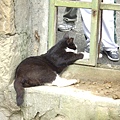 IMGP1528.JPG