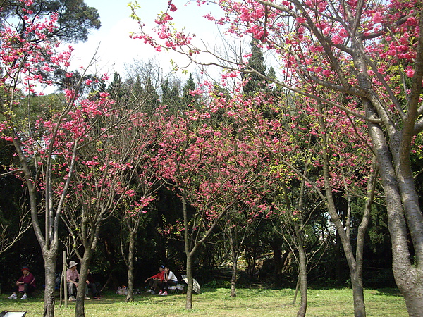 IMGP2832.JPG