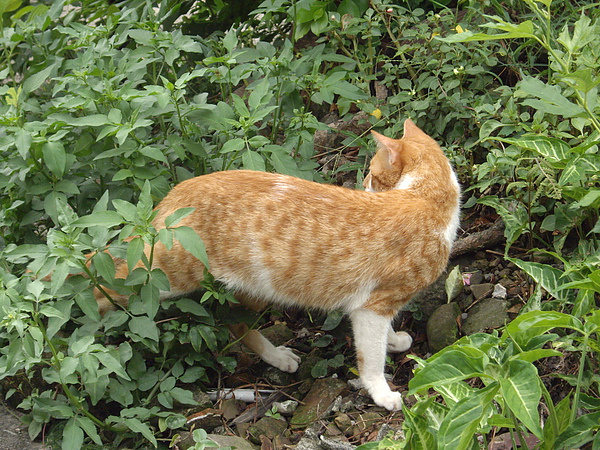IMGP1396.JPG