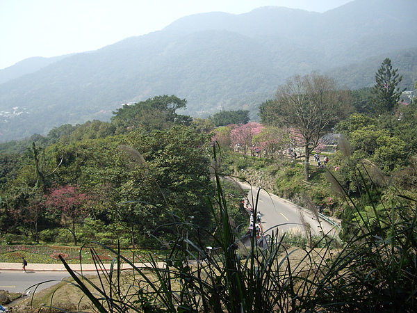 IMGP2861.JPG