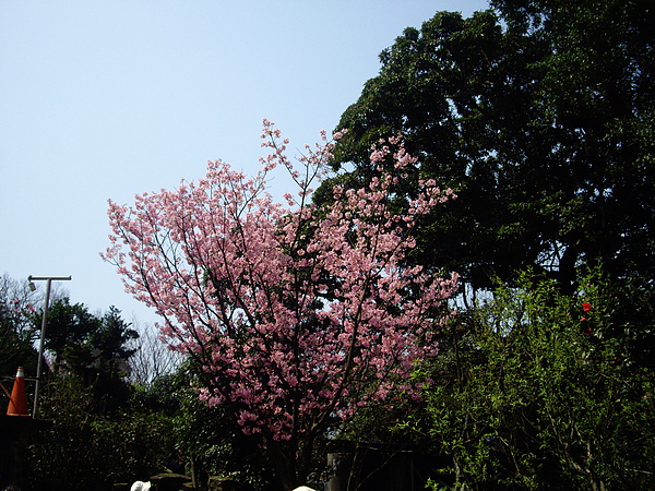 IMGP2797.JPG