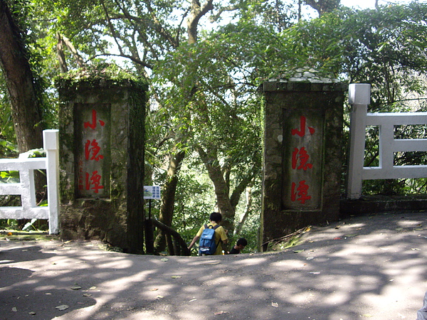 IMGP2858.JPG