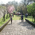 IMGP2778.JPG