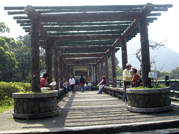 IMGP2779.JPG