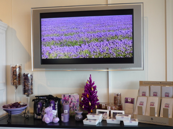 bridestowe estate lavender farm