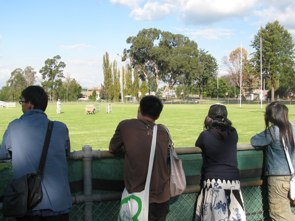 2009-4-18 - Murrurundi 6.JPG