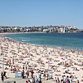 Bondi Beach