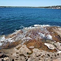 Cronulla Beach 