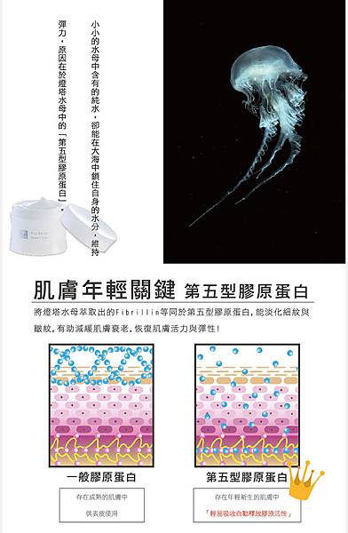 EDM06-36 試用