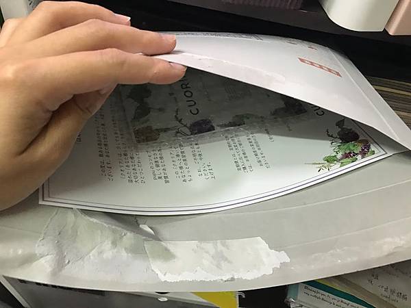IMG_5095 試用