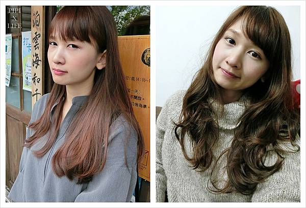 cats000.jpg cats000.jpg