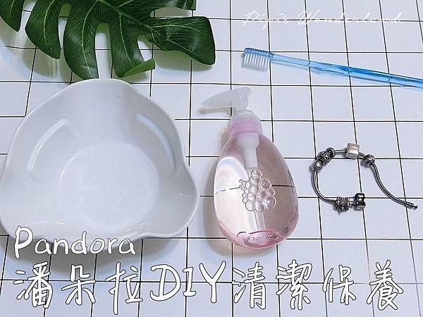 Pandora001.JPG Pandora001.JPG