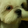 20111207g.jpg