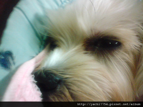 DSC00017.JPG