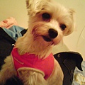 DSC00009.JPG