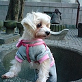 新公園2.JPG