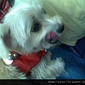 P12-05-07_11.24[01].jpg