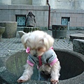 新公園3.JPG