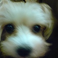 DSC00001.JPG