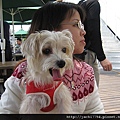 IMG_5792.JPG