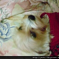 DSC00045.JPG