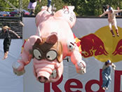 red_bull_flugtag_large.jpg