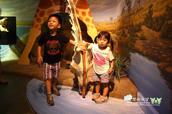 樹谷生活科學館