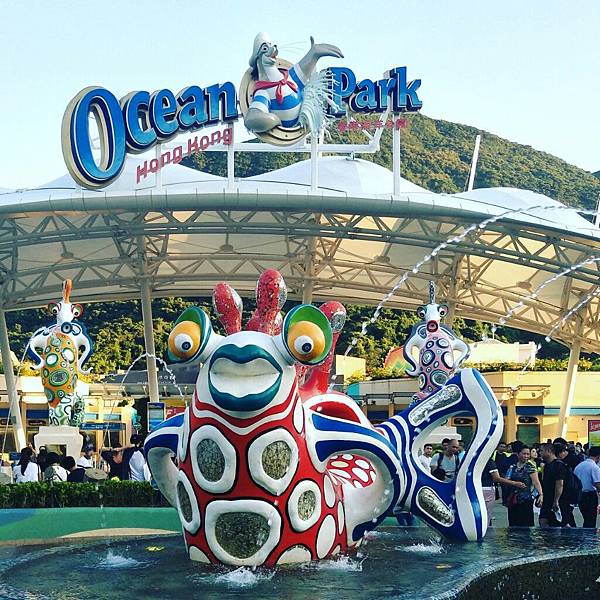 IMG_20170825_201753_295.jpg-1720926887