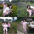 桃園大溪花海農場