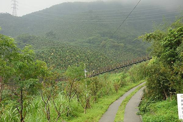 20140808華山咖啡大街-14.JPG