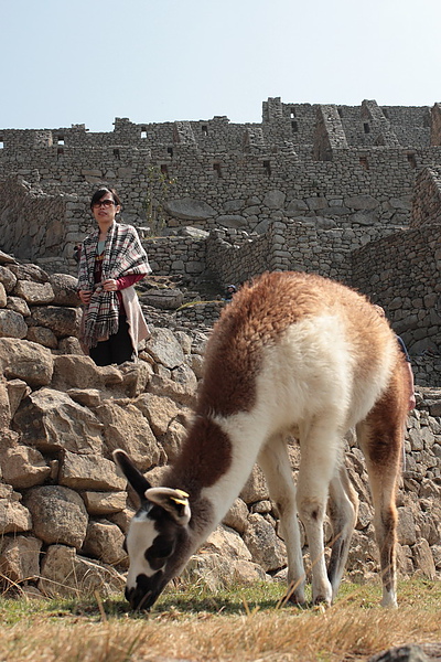 100816MachuPicchu202.jpg-1.jpg