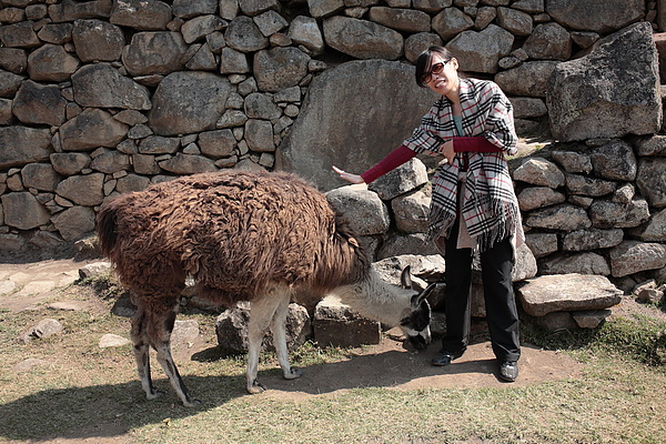 100816MachuPicchu187.jpg-1.jpg