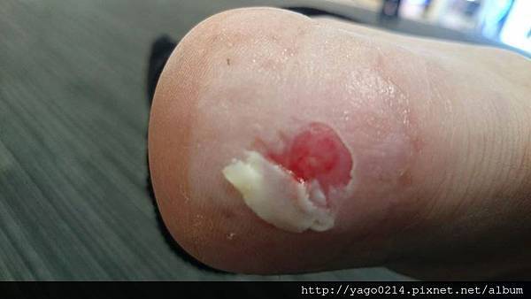 1621852_937591506257767_1361282015276189770_n