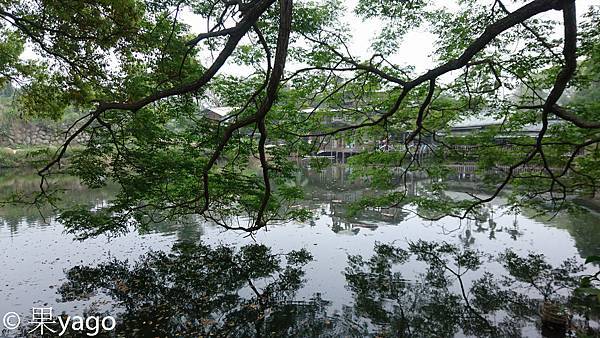 DSC_2862.jpg DSC_2862.jpg
