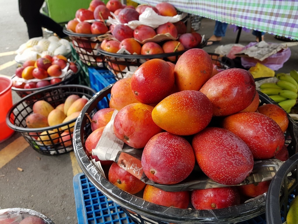 18814897_1326332434129136_3748742678391585376_o.jpg 18814897_1326332434129136_3748742678391585376_o.jpg